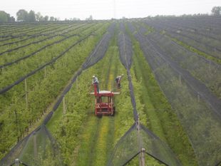 Azienda Agricola Solena